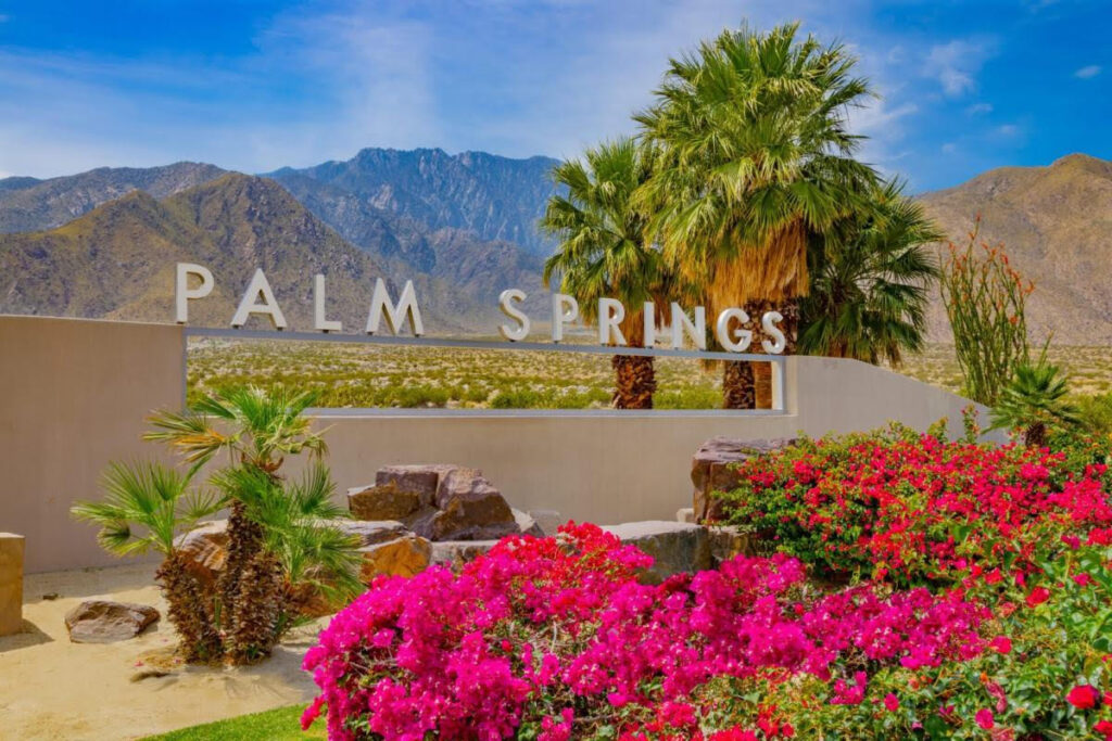 Colorful flowers and palm trees with mountains in Palm Springs.